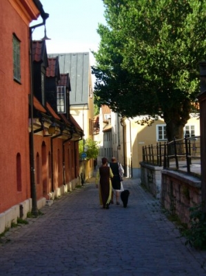 Поездка по Швеции Стокгольм и Готланд средневековый фестиваль 2009 _5